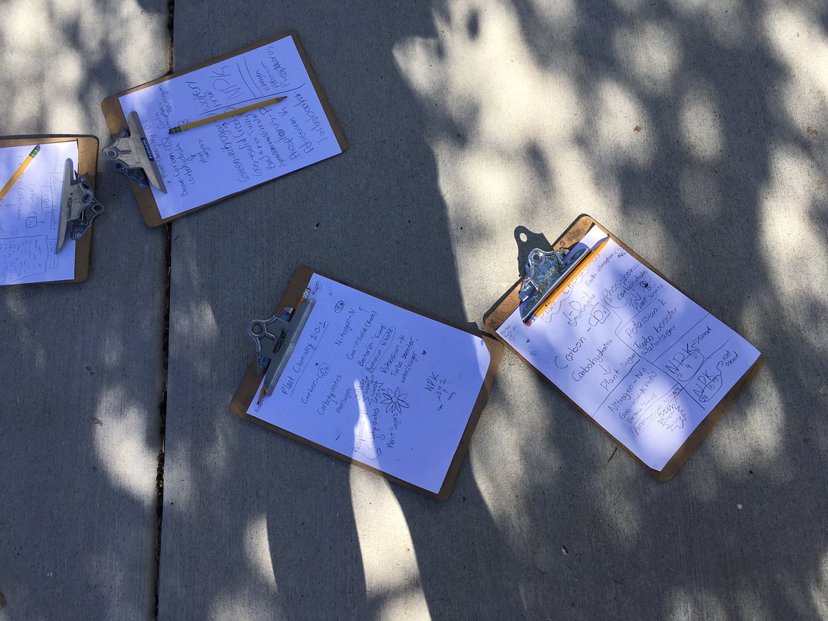 FolendorfSystem's tweet photo. Ss learning about plant chemistry in the garden https://t.co/CdUkGwswtw