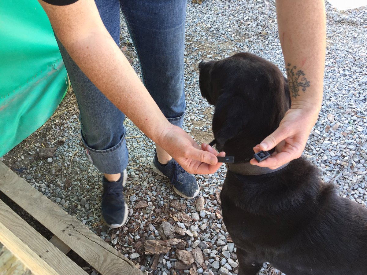 𝙏𝘼𝙍𝙊 𝙂𝙚𝙧𝙢𝙖𝙣𝙮 𝙚.𝙑. tweet media