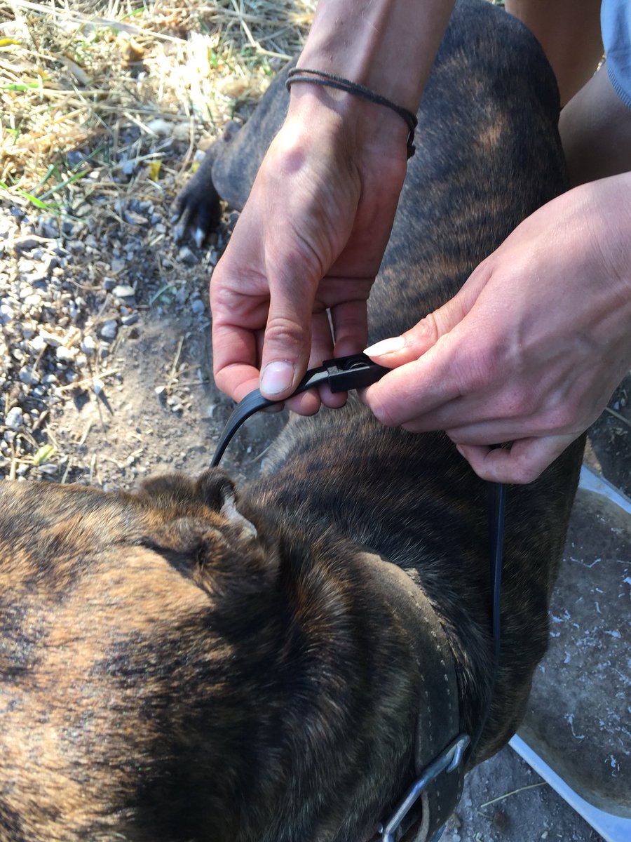 𝙏𝘼𝙍𝙊 𝙂𝙚𝙧𝙢𝙖𝙣𝙮 𝙚.𝙑. tweet media