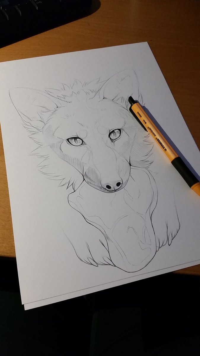KillingTea's tweet photo. This will be a beautiful fox :O @Raitsh https://t.co/17vxC337e5
