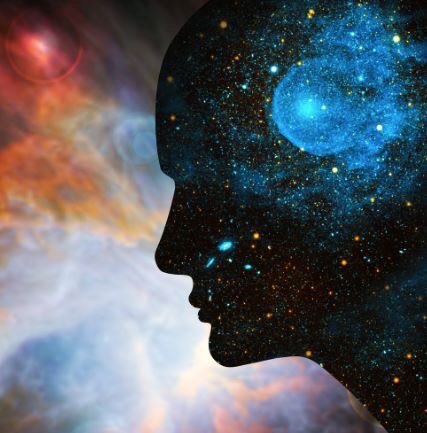 Wesley Snipes tweet media