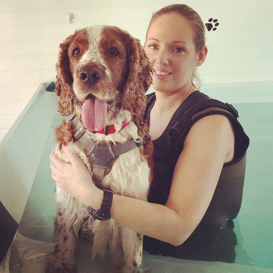 We want our patients to be relaxed during sessions. We do this by building trust through +R to ensure they are happy #woofwoofwednesday