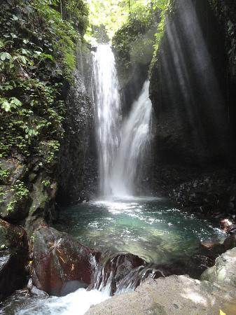 ecosuntravel's tweet photo. #Gitgit #Waterfall is one of the famous tourist destinations in #Bali which is located in Gitgit countryside. https://t.co/DhtI5zOMTz