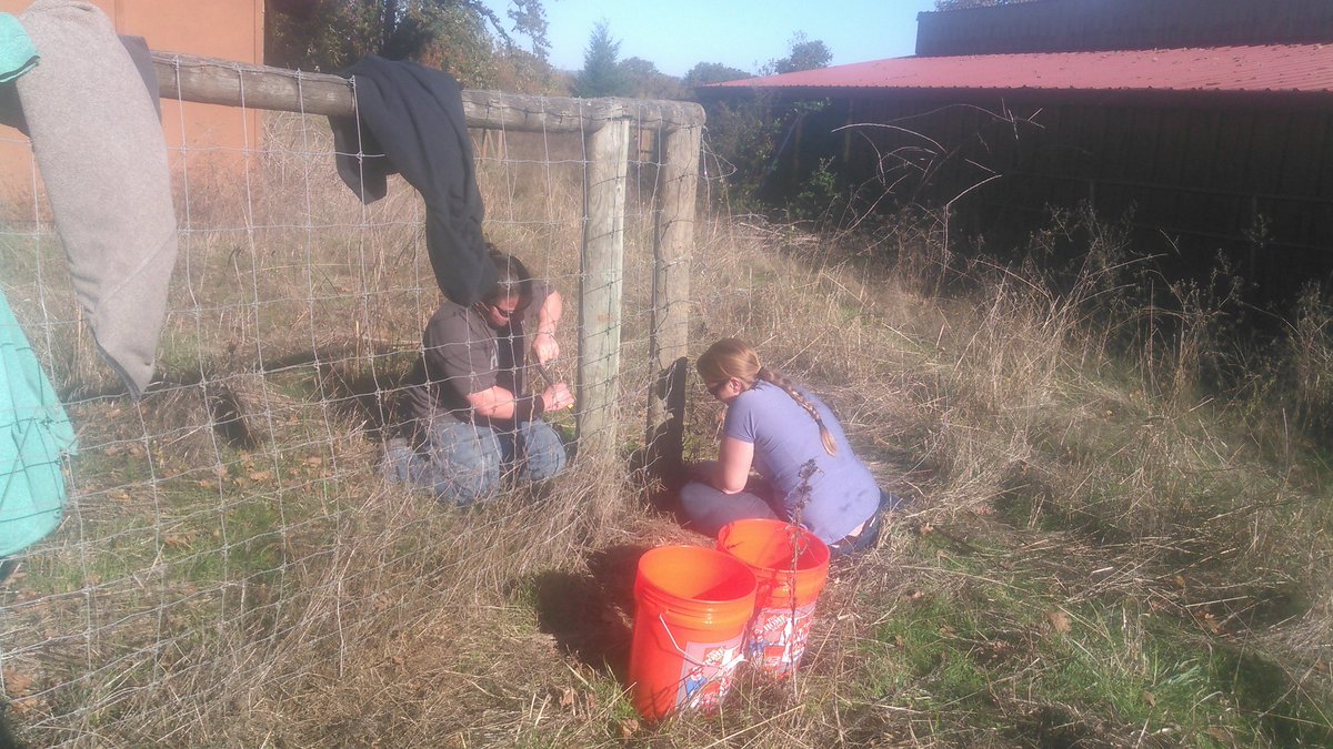 Turf_Miles's tweet photo. Barenbrug Research is #Helpingwithhands https://t.co/VsUuvRO4rg