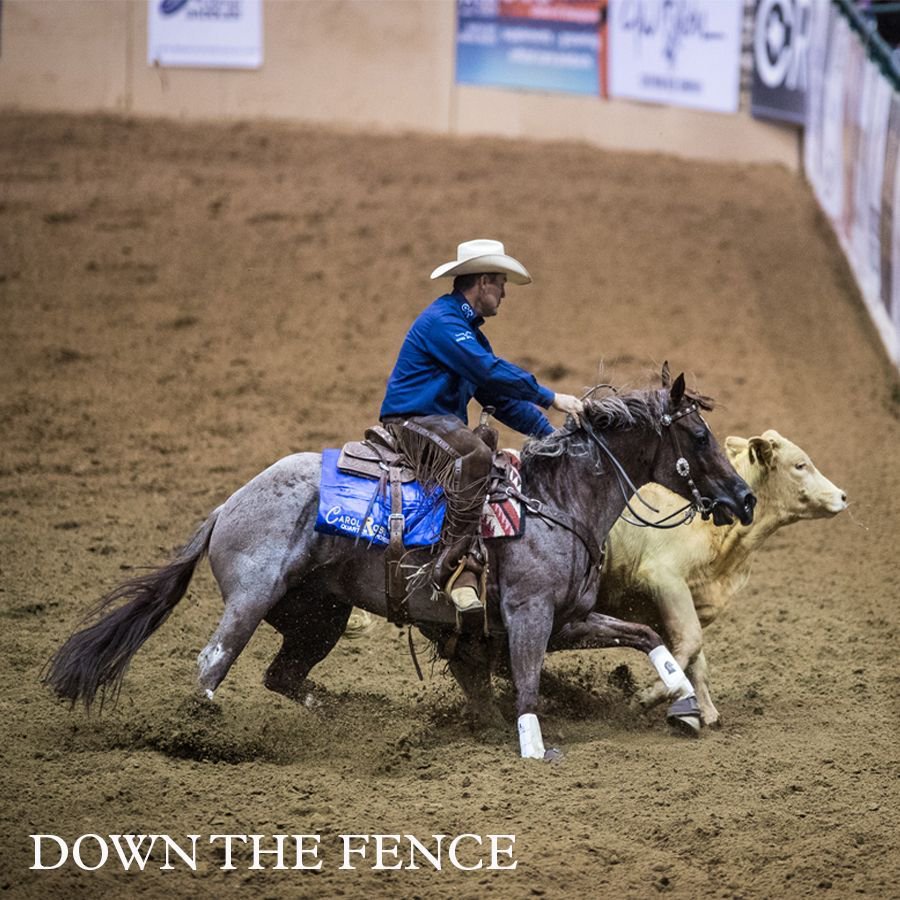 downthefencemov's tweet photo. Strength, unity and a bond built on trust. #chrisdawson #cowhorse #snafflebitfuturity #indiefilm #cowboy https://t.co/U70TS7bIKv