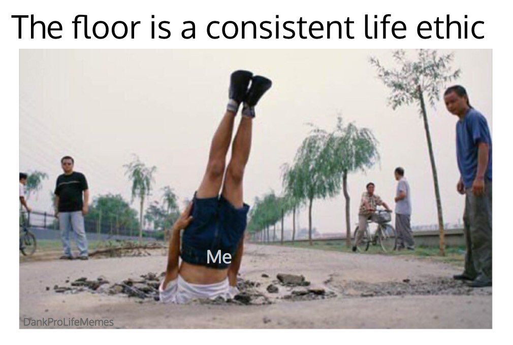 FordhamRFL's tweet photo. Mood https://t.co/vhLAChBW4D
