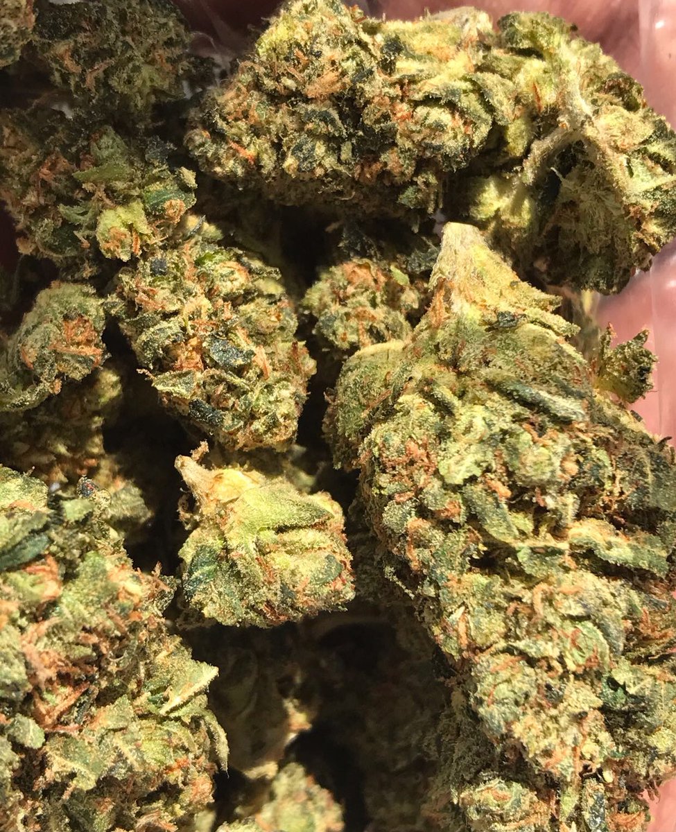 iAmBillieTheKid's tweet photo. #AbusiveOG when I say I keep that bag on me 👀👀 https://t.co/0hx8ldY6sk