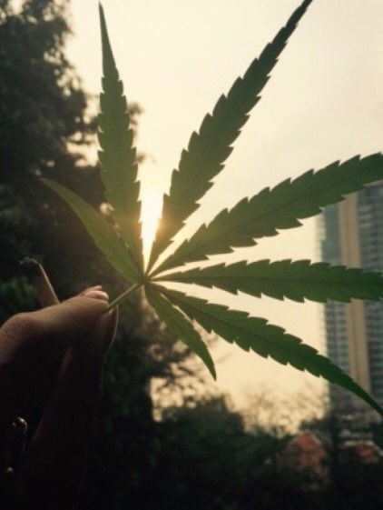 Rawkita's tweet photo. It’s Marijuana O’clock https://t.co/SYqGV7hBbG
