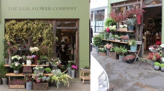 HELP NEEDED - please sign our petition to allow us to display flowers at our shop once more <a href="/GregHands/">Greg Hands</a>

change.org/p/the-royal-bo…