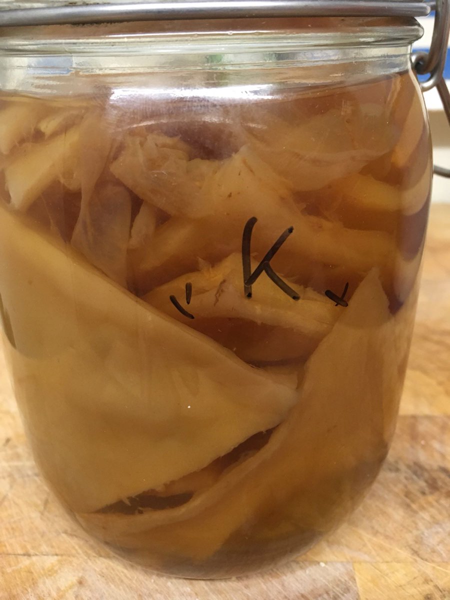 OrganicNorth's tweet photo. How about some kombucha to wash all of that kimchi down? Dead easy to brew and makes for great sugary pop alternative #Organichour #SCOBIES https://t.co/9udJCiH74K