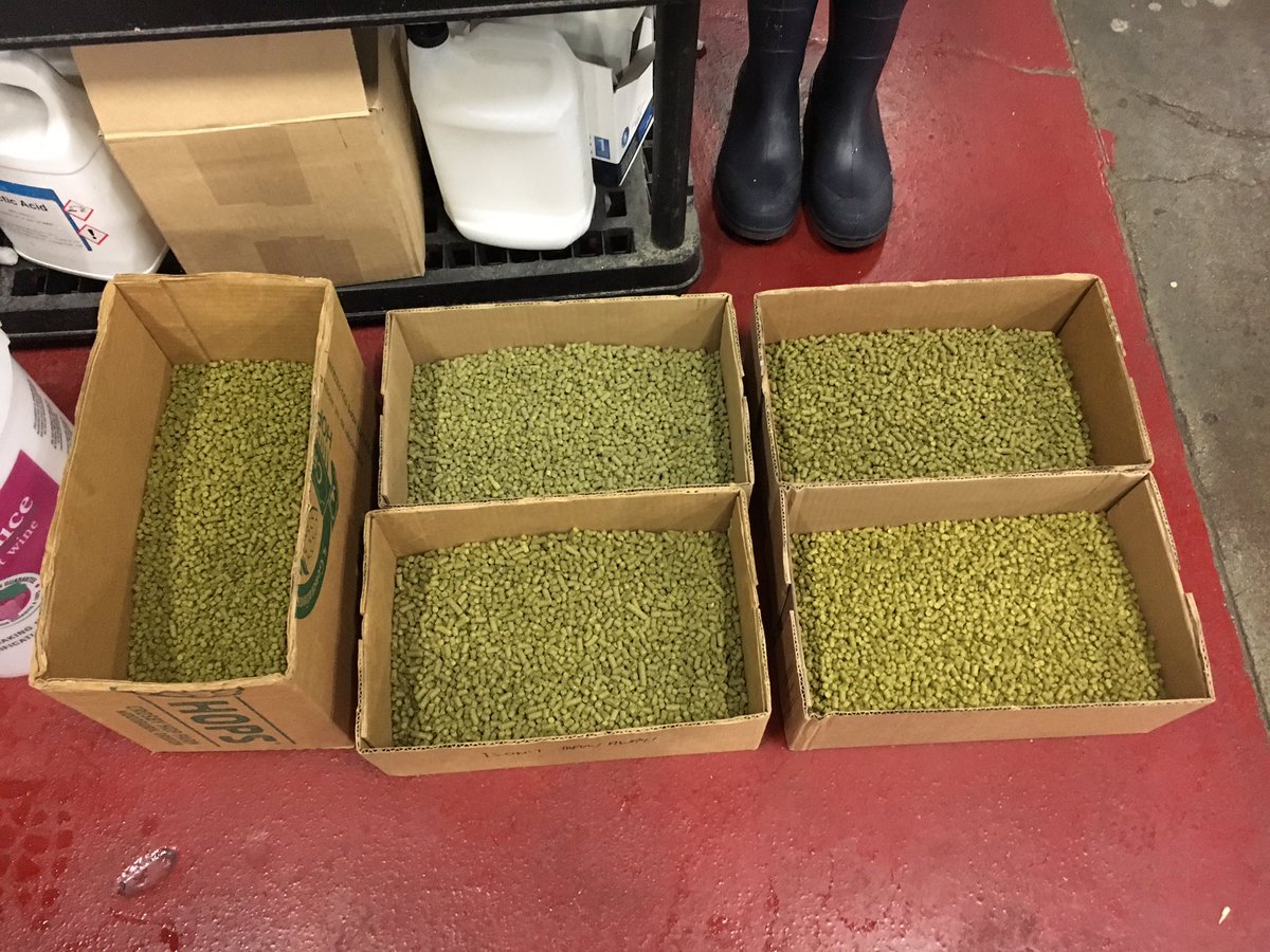 perrygoodbeer's tweet photo. Mmmm I love me some Rabbit Punch. Look at all those hops! @torquebrewing @TSpidey78 https://t.co/OoFv5LORZD