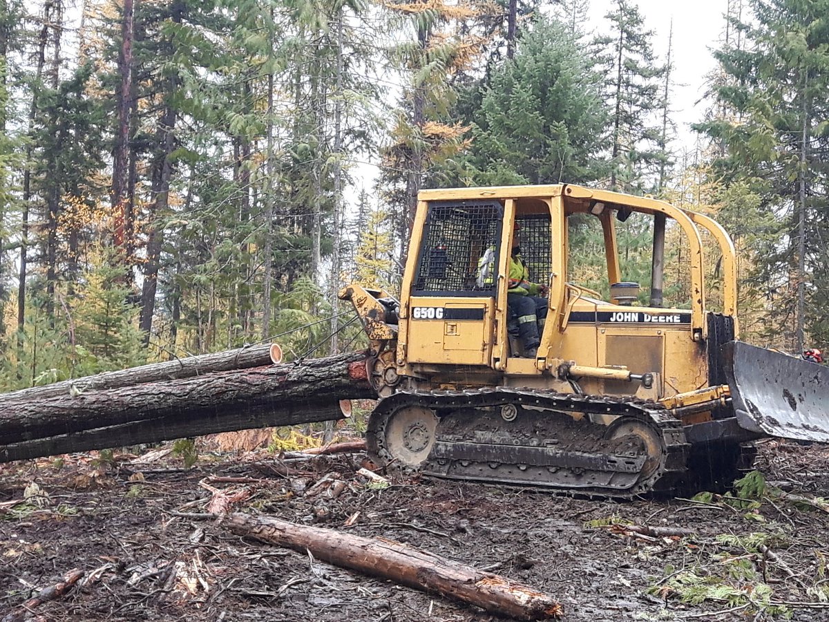 Thanks to Mr Tooms and the Forestry class for hosting the Woodlot Tour for 30 @SD22Vernon students today!