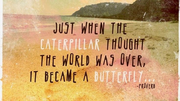 ElysiaSkye's tweet photo. Just when the caterpillar thought the world was over... #Transformation #Hope https://t.co/R5uKA8XOkF