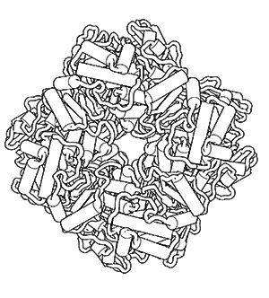 rapid thermal processing science and technology