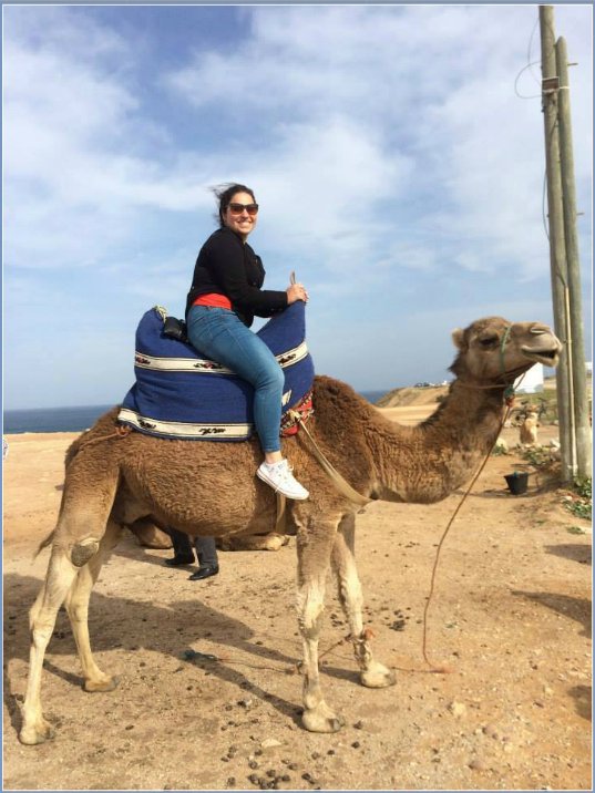 PLV Study Abroad tweet media