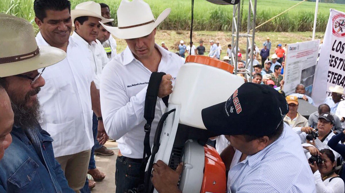 alejandromurat's tweet photo. A favor de un #OaxacaProductivo, con inversión de 9.9 MDP, entregamos apoyos a más de 7 mil productores de Acatlán de Pérez Figueroa. https://t.co/CSnRq8iGLX