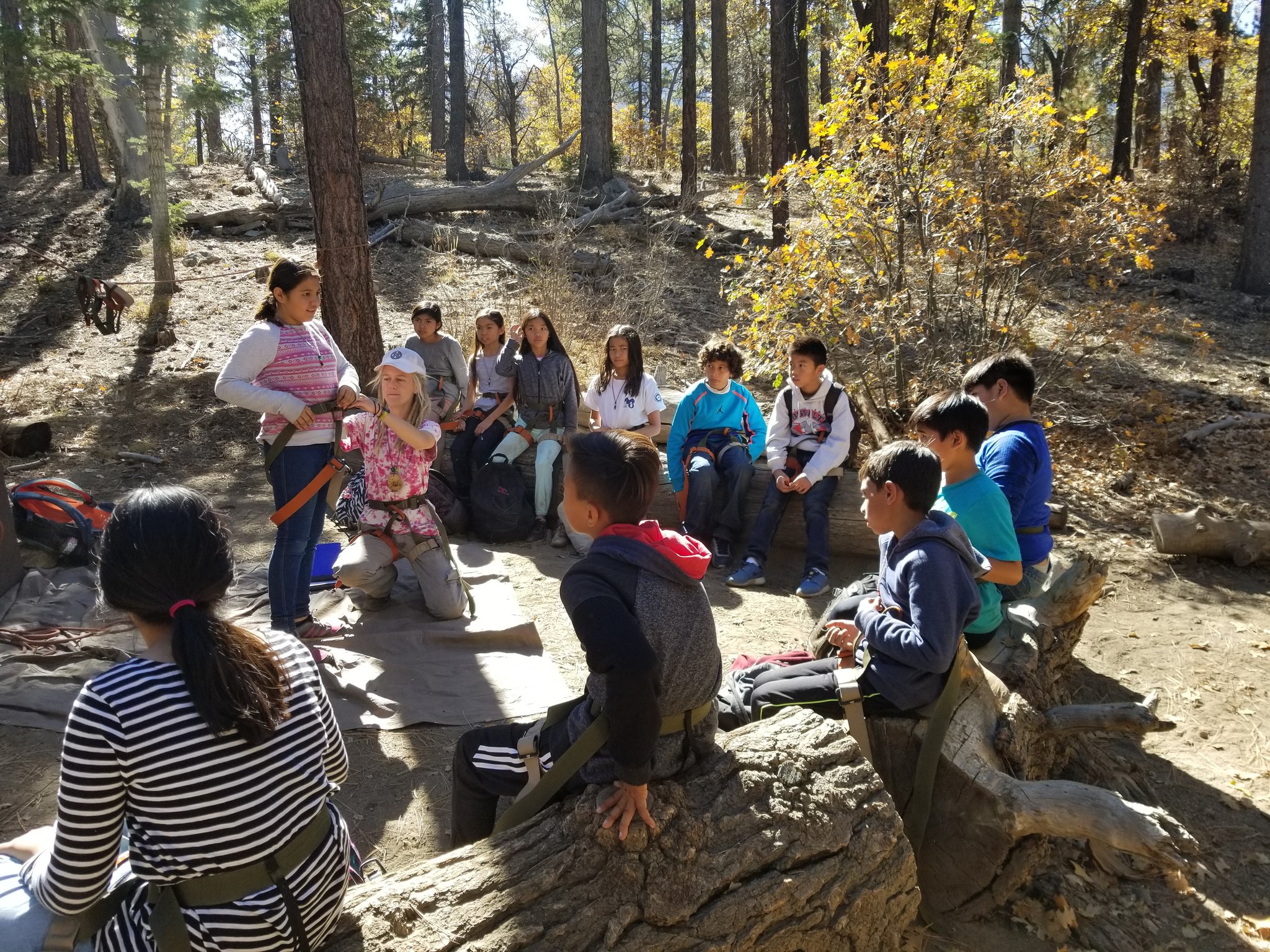 Oswalt Academy on Twitter: "6th graders having a wonderful learning ...