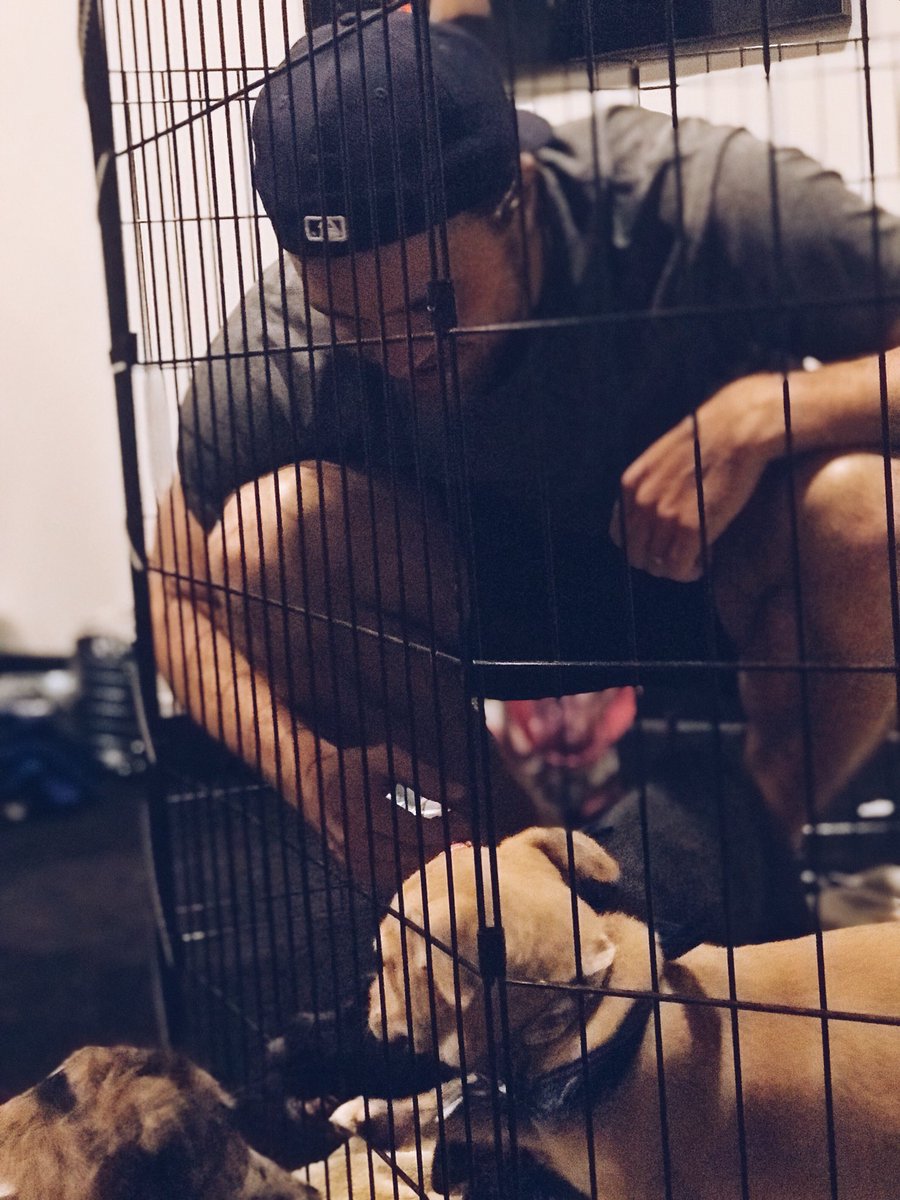 TBLightning's tweet image. You probably want to go check out our Instagram Story (tblightning) right now... 🐶