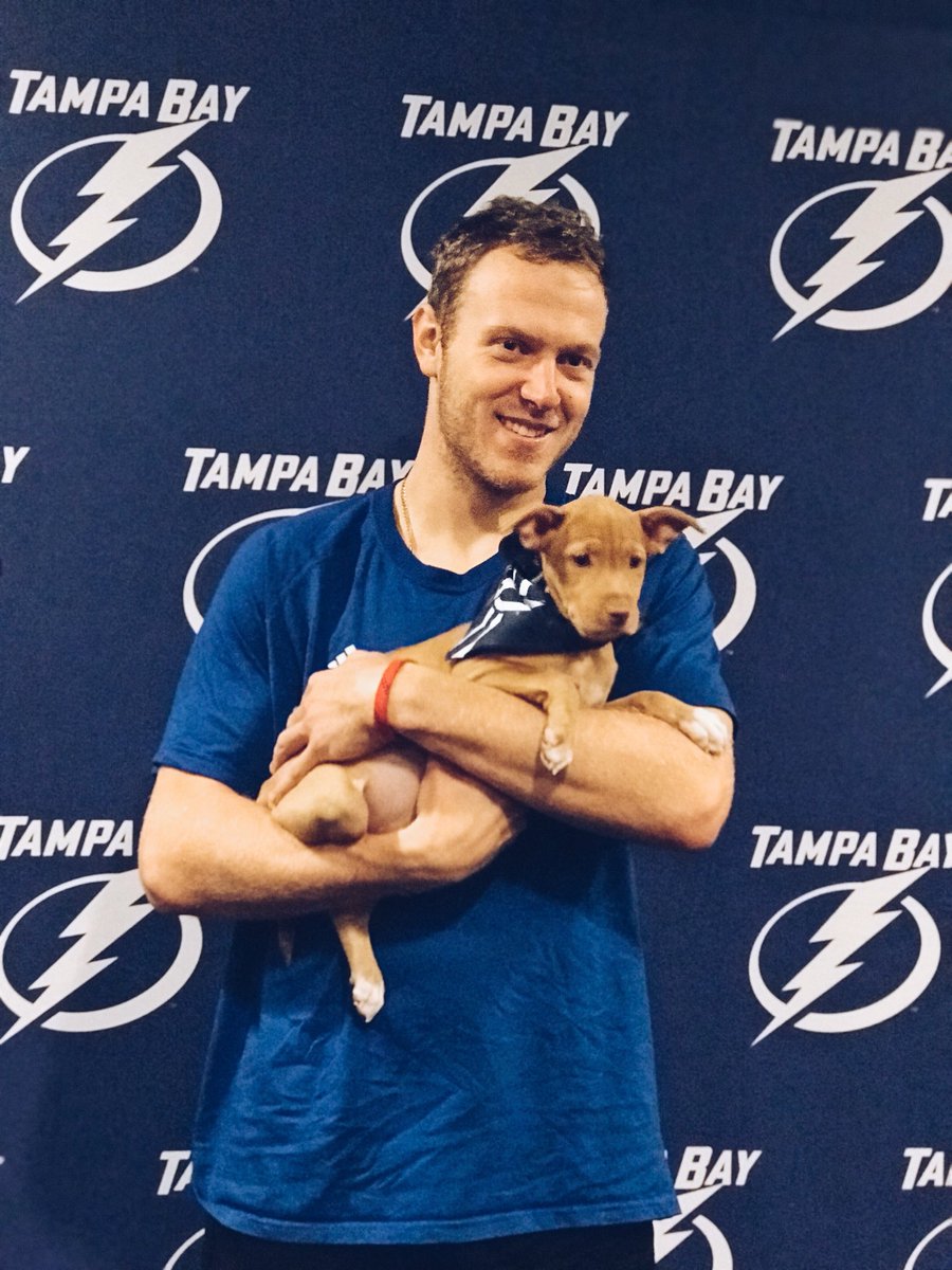 TBLightning's tweet image. You probably want to go check out our Instagram Story (tblightning) right now... 🐶
