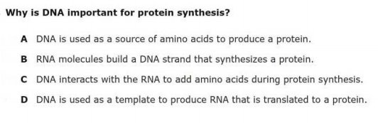 STEMwithJen's tweet photo. #OCPSBioEOC Question of the day! Make sure to reply with your answer! https://t.co/m5PQvCoMop