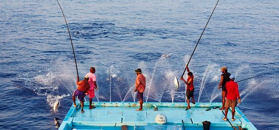 10 merklessen van Fish Tales over purpose gedreven marketing marketingonline.nl/blog/fish-tale…