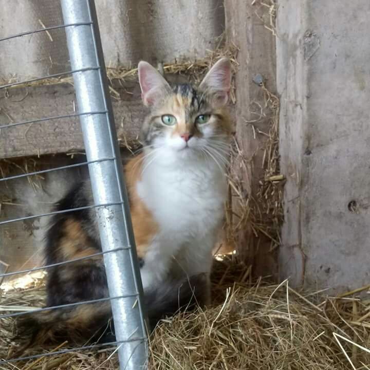 Bonnie looking bonny...