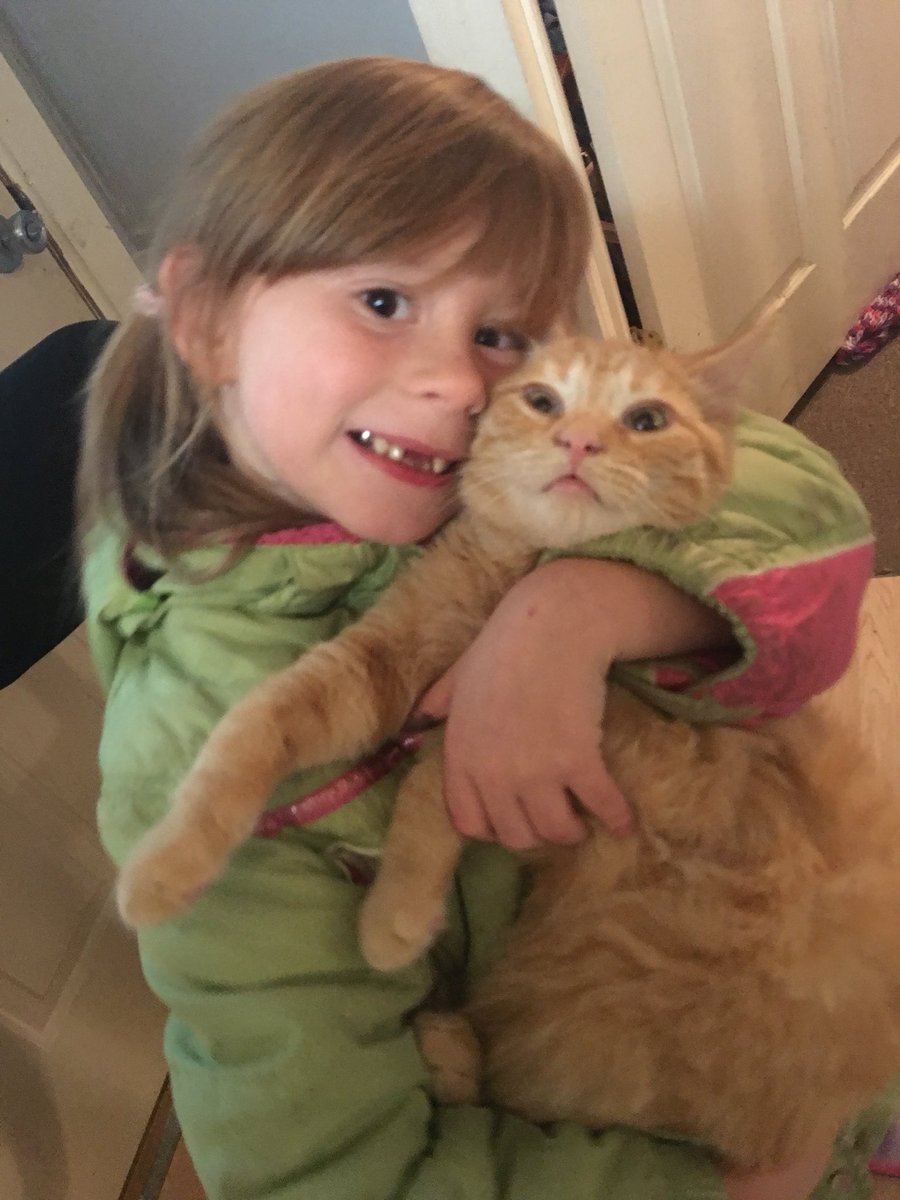 ToriEAMcCall's tweet photo. This picture of my niece and my sisters cat makes me laugh #FreeHim #PoorJasper https://t.co/0A1zF5t3t0