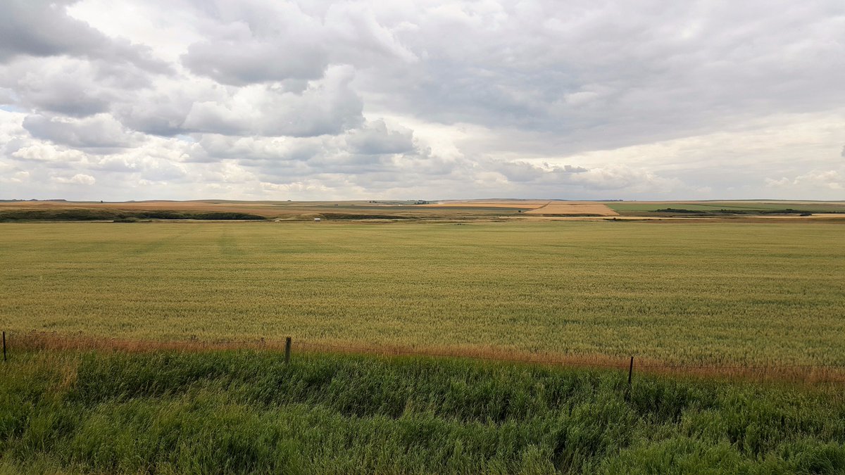 Aspen_Crossing's tweet photo. @TourismCalgary We @Aspen_Crossing ❤️ that in less than an hour, you can enjoy one of the world's major food sources in the farming landscapes. #farmtofield https://t.co/KSIvaqaWwo