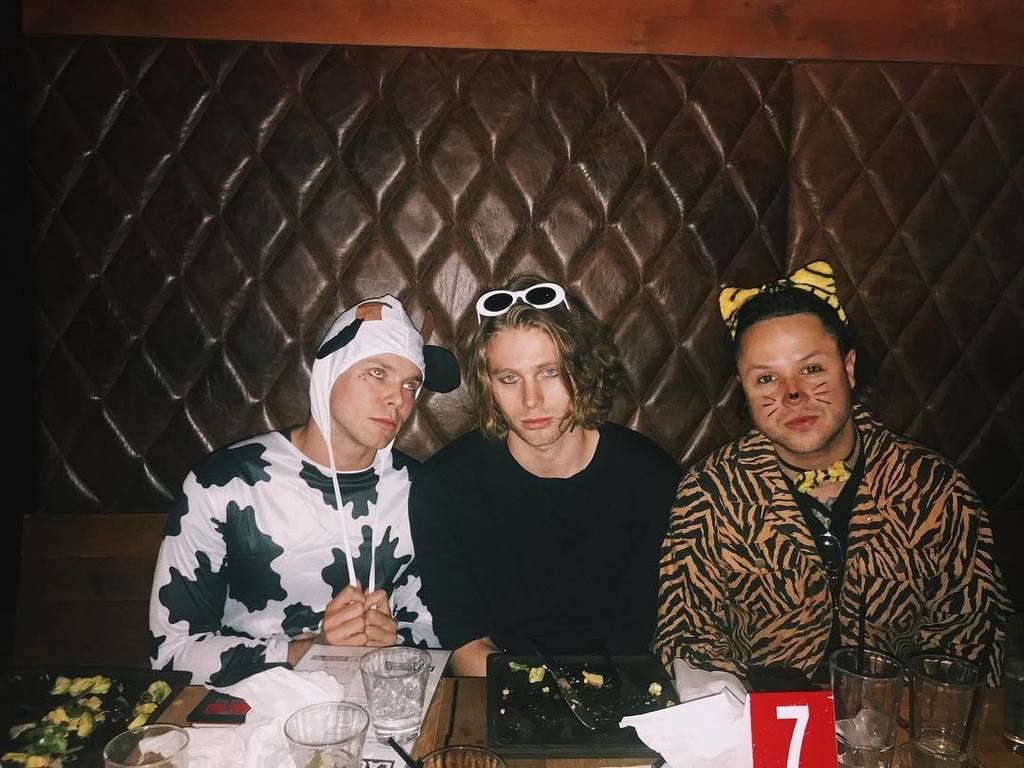 Luke5SOS's tweet image. Idk who that cow is but he was so sassy...