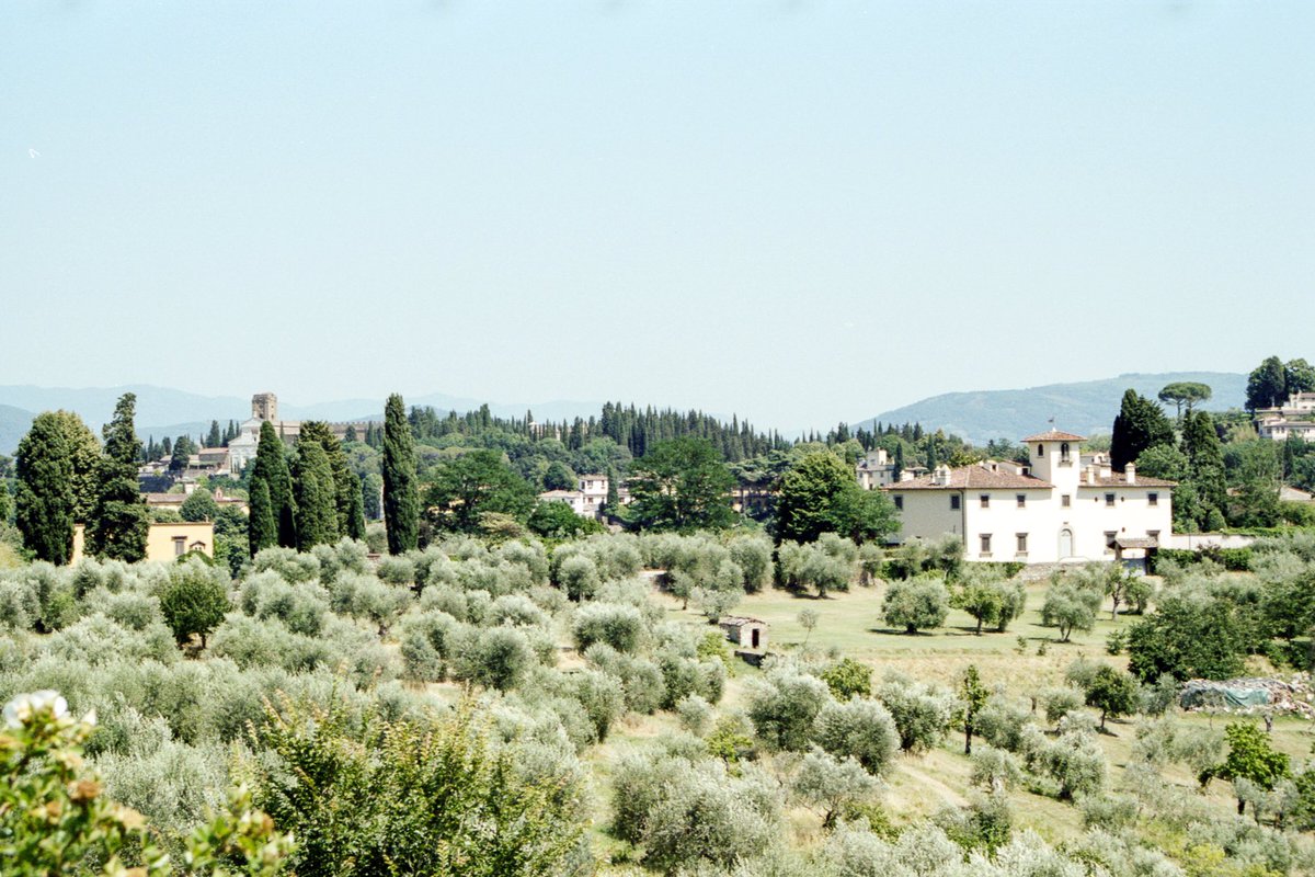 Let’s Explore Magazine tweet media