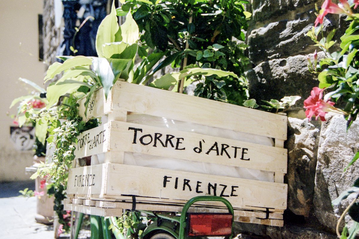 Let’s Explore Magazine tweet media