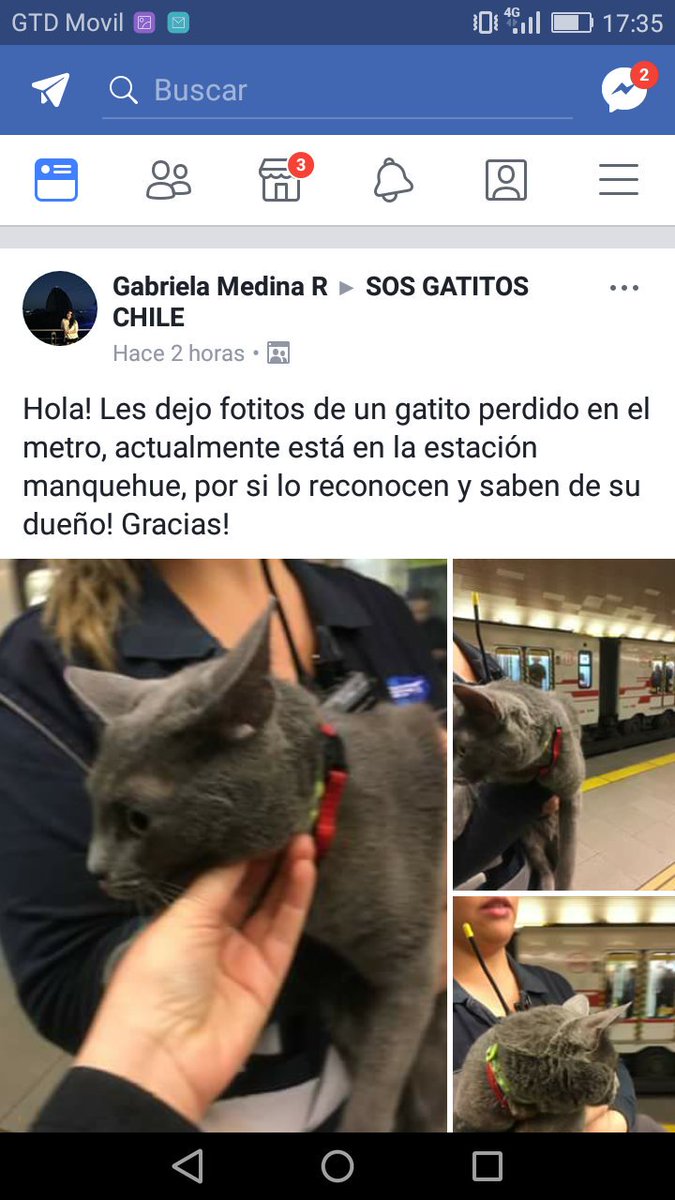 buffypetsitter's tweet photo. Gatito perdido en metro #manquehue @todomecarga  @espoir9 @Chilena9772 @marisepulved @bartorell @carolinapinoc @MascotDFLCondes https://t.co/qMwSqt3L8B