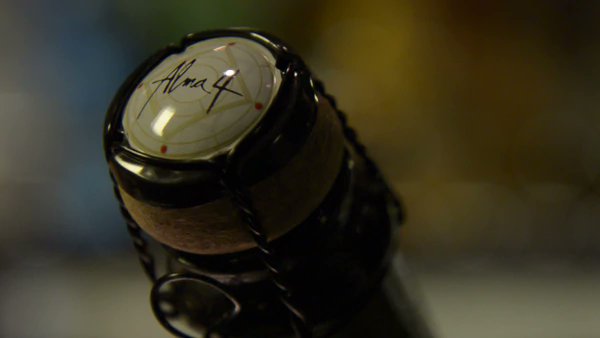 Semana de cocktails y gastronomía especial basada en los espumosos Alma 4  infobae.com/espacio-no-edi… vía <a href="/infobae/">infobae</a> #SemanaAlma4