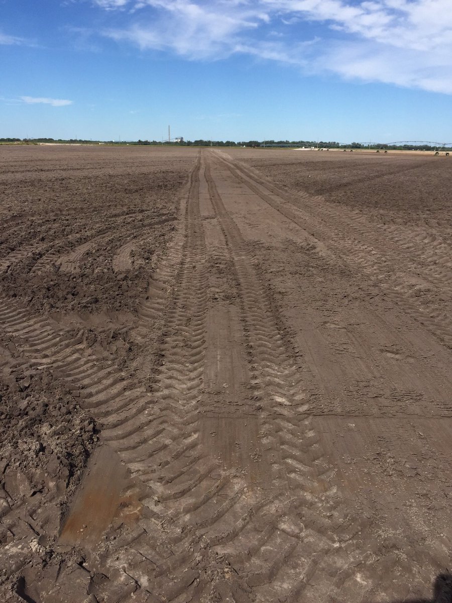 King Ranch Turfgrass (@KingRanchTurf) | Twitter