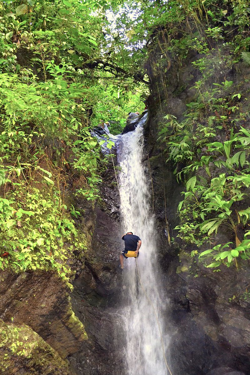 ActivatedLifeX's tweet photo. Ready to rappel your way through #CostaRica? Contact us today! #AdventureTravel #BespokeTravel #WaterfallRappel https://t.co/xmmKTJdMAO https://t.co/TrrKBUQVsX