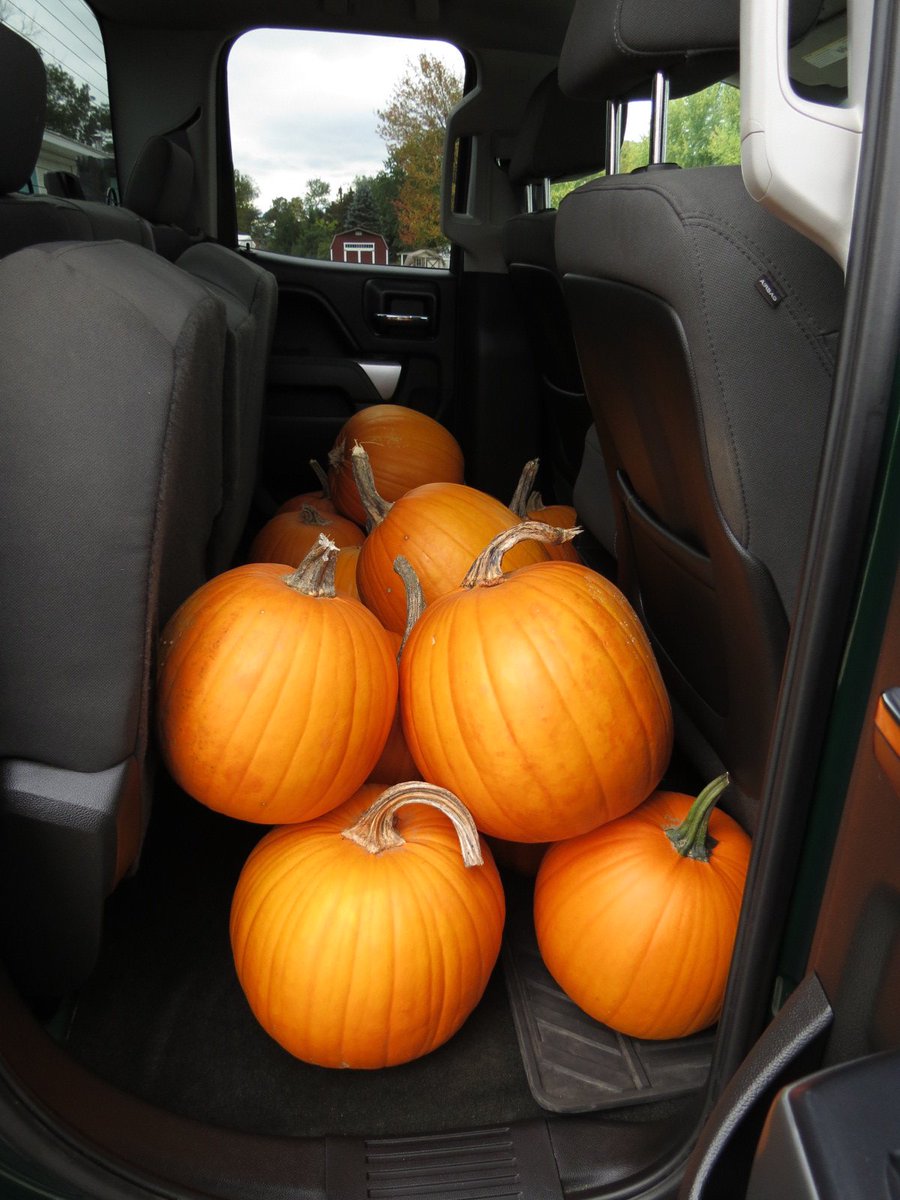 Key_Burlington's tweet photo. Tomorrow, look for a special #contest on our FB featuring #pumpkins from #SamMazzas decorated by middle schoolers from the @kingstreetctr! https://t.co/mTwqhOajI0