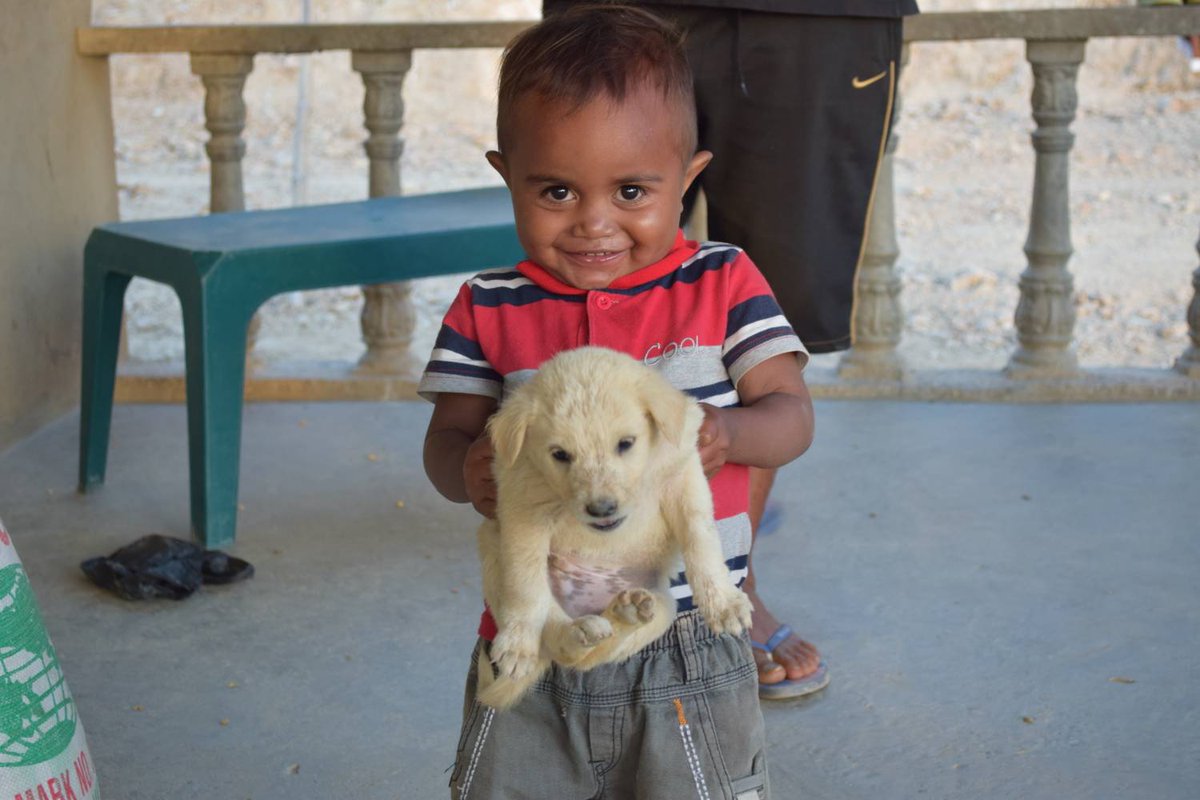 WildTimorCoffee's tweet photo. And another for good measure. Who doesn't love puppies on a Thursday! #changeofsubject https://t.co/GxzyB6PC3r