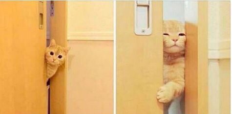 فرح الآخرين لن يضرك ، غِناهم لن ينقص منك رزقك ، عِش نقياً ، وتمنى للناس ما تتمنّاه لنفسك .

لكن هالحركات وشفايه اتركوها

#الناس_بهذا_الوقت