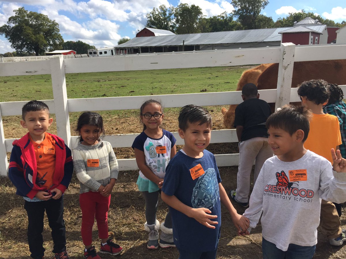 daleknightccps's tweet photo. Mrs. Knight's kinders feeding the calves! #Teamwork #toomanypumpkins #togetherweflyfar #oneccps @lindsayporzio @PBL_Peyton @jeniparsons1220 https://t.co/sLTmX9LOSf