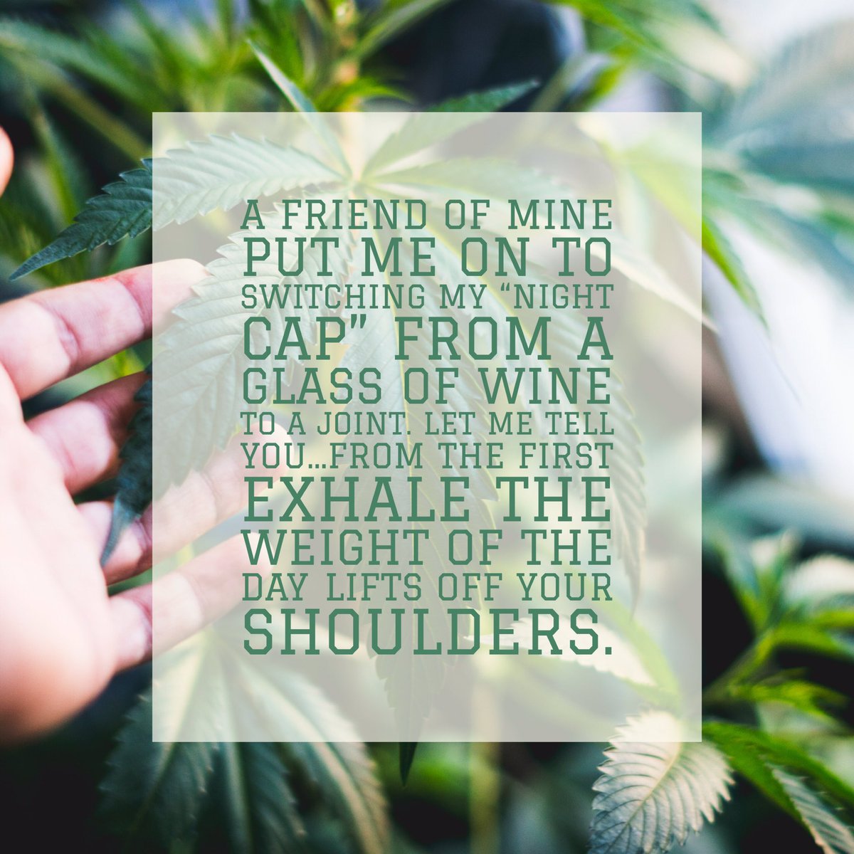 GFarmaLabs's tweet photo. Read on why you should smoke some weed after having a long day on https://t.co/aRfeFDED8y 🤓🍁 https://t.co/ZicOS4y0Sg