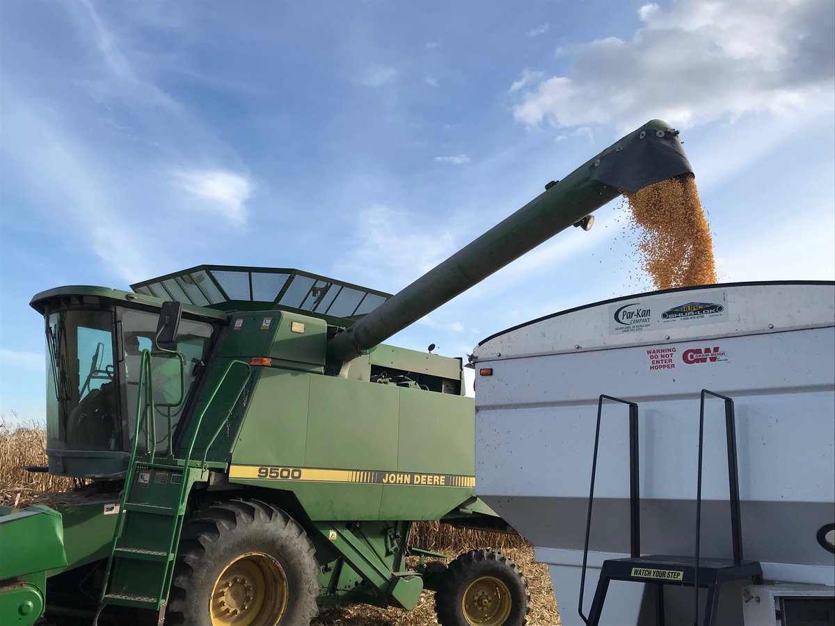 HamreTrevor's tweet photo. Awesome yields coming out near Pierz, MN. Thank you Greg & Val Stangl! #ProducersHybrids https://t.co/NARtKCvqZE