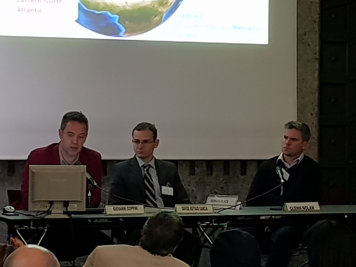 Davide_Astiaso's tweet image. @EuroGOOS #mongoos @BlueMedEU @PELAGOS2016 and other #Med projects &amp;amp; platform collaborating with us at the @ODYSSEAPlatform workshop in Rome