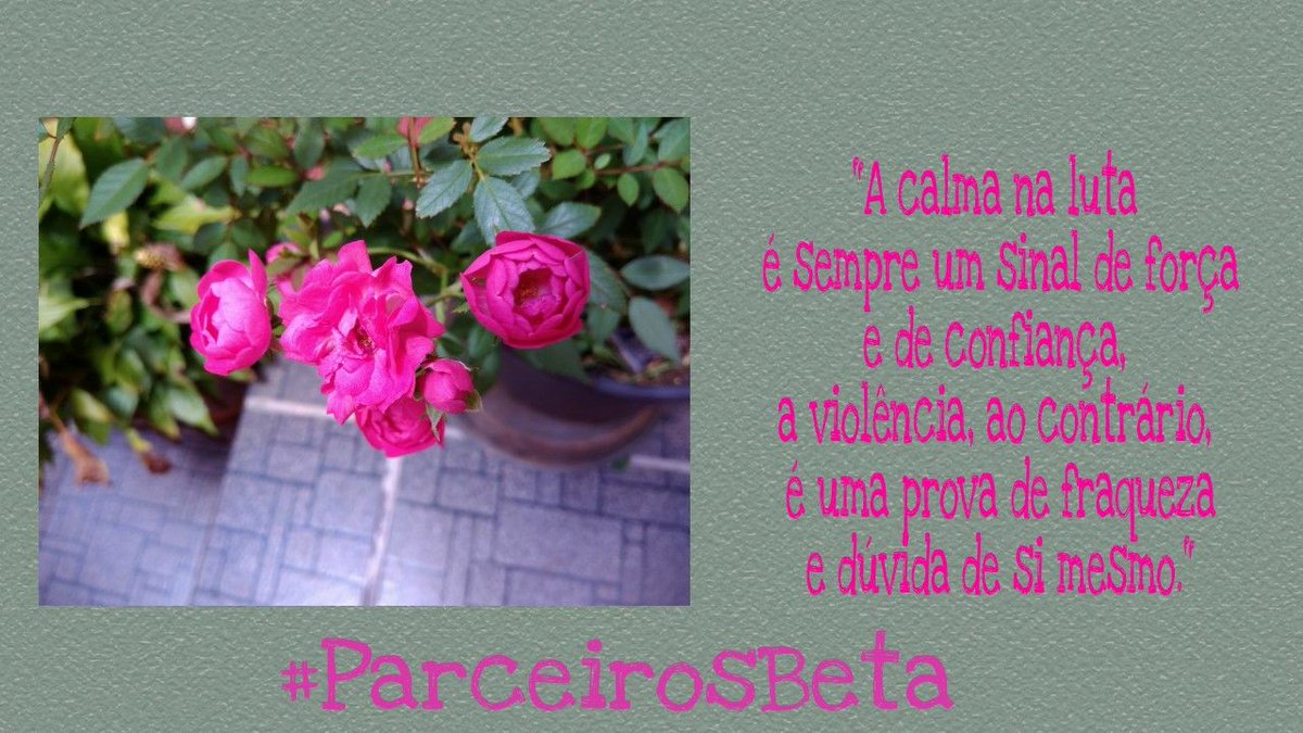 Boa noite 
#PARCEIROSBETA