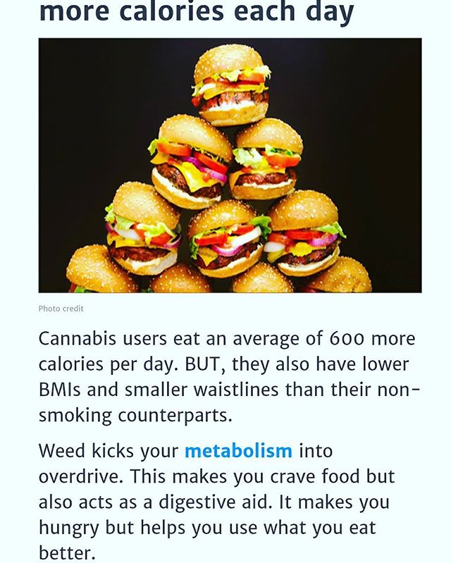 Dank_Diaries's tweet photo. Cannabis helps you use what you eat better! #AZMmjDr #WeedFacts #azmmj #mmj #weedstuff #Cannabiscommunity #prop203 📷: @universativa https://t.co/d8OaoqNX2A