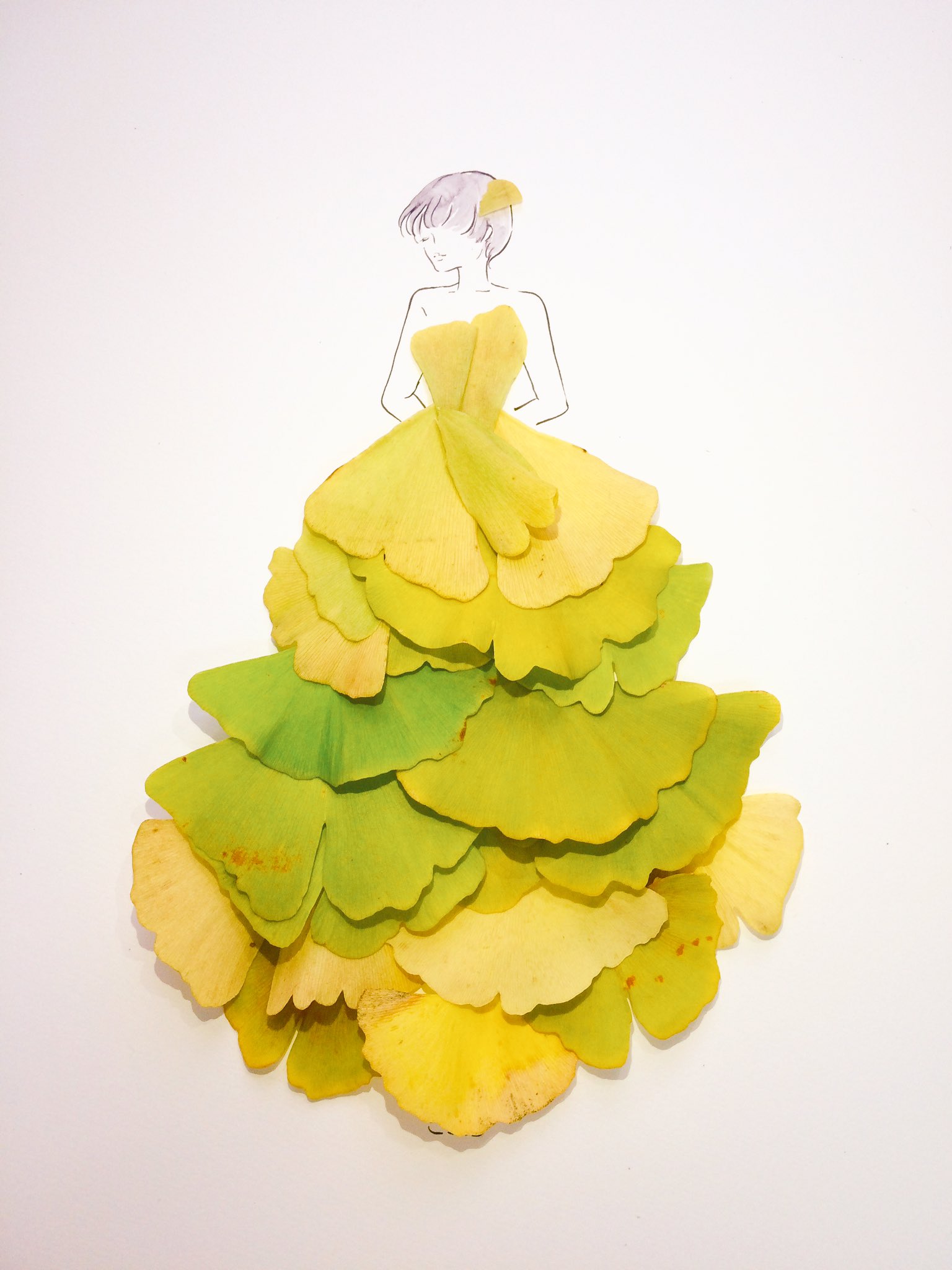 はな言葉 新刊出ました きょう10月26日の誕生花は イチョウ 銀杏 花言葉は 荘厳 鎮魂 しとやか