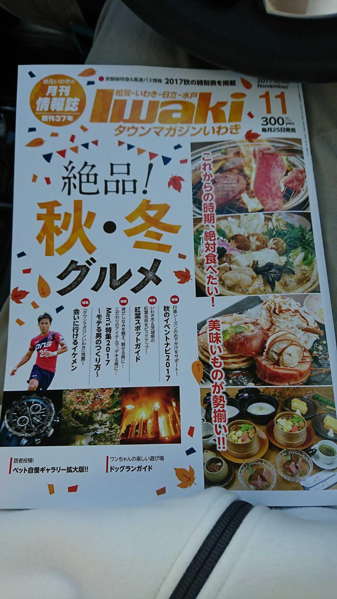 タウンマガジンいわき Twitter Search Twitter