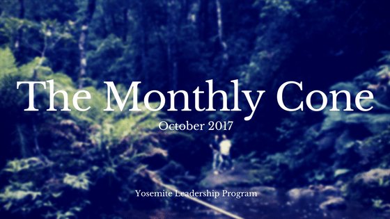UcmYlp's tweet photo. The Monthly Cone October Edition https://t.co/mNd2OddDJ0 https://t.co/VPkRM3GeDu