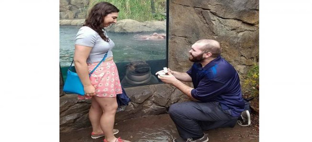 DiarioCoahuila's tweet photo. #NoticiaAmable #Bebéhipopótamo se vuelve protagonista en propuesta de #matrimonio https://t.co/9xQ2OvBMmk https://t.co/7dPaZHVYwL