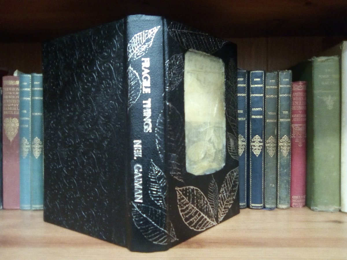 BetterReadBooks's tweet photo. Custom binding for Fragile Things, skeleton leaves in resin in front boards. Version Two https://t.co/FL3kQPl1H3