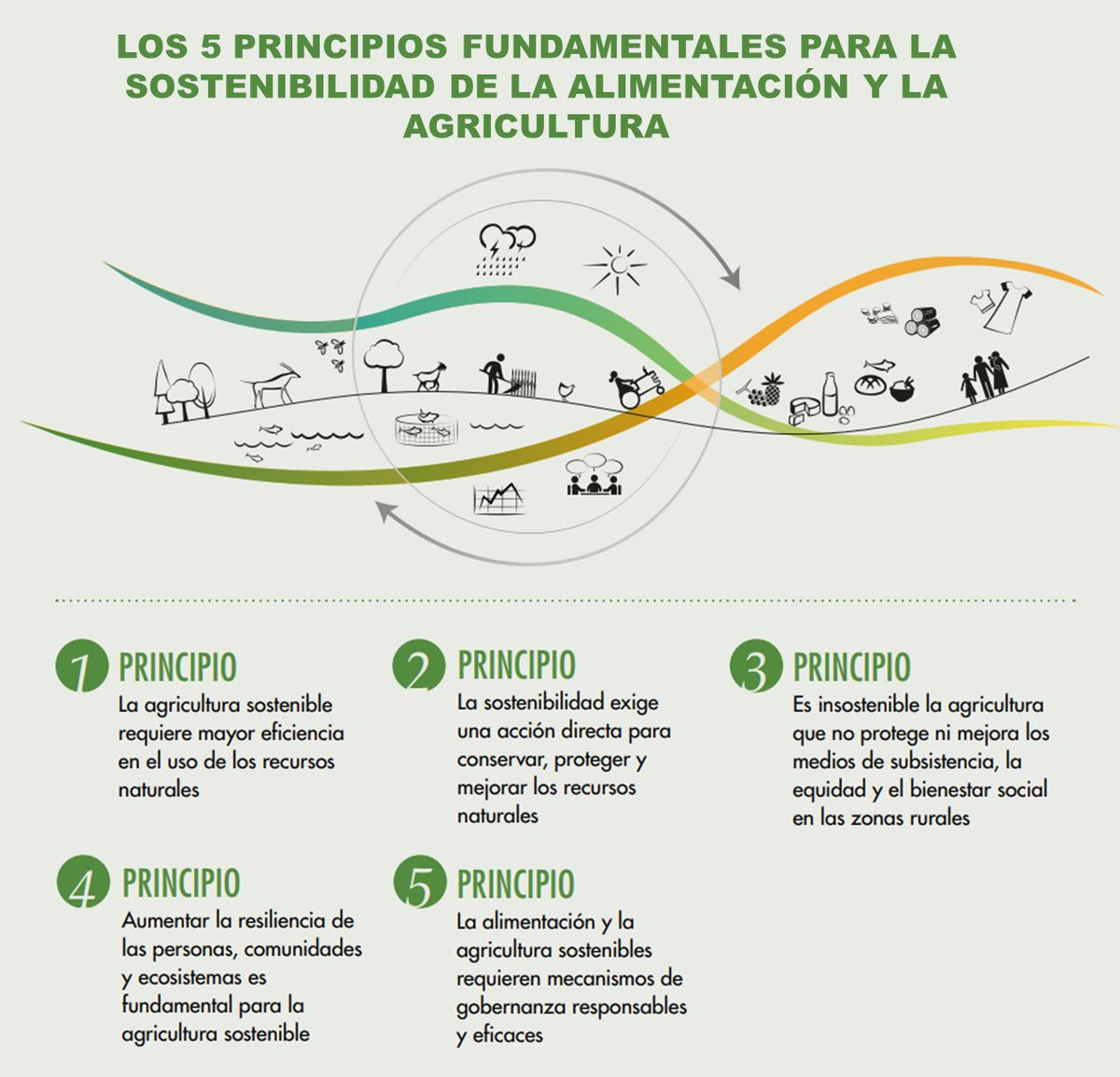 Fao Ecuador On Twitter Los 5 Principios Fundamentales Para La
